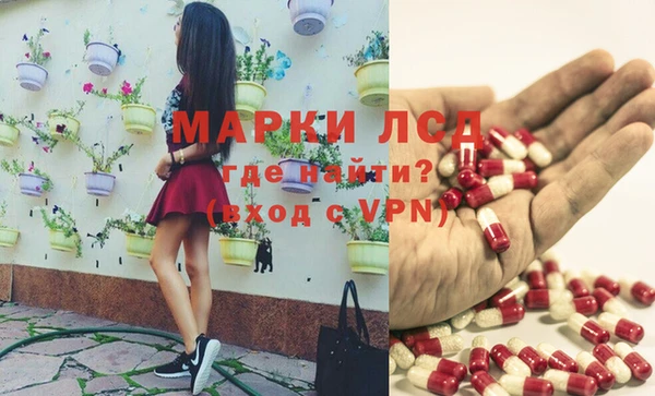 хмурый Алексеевка