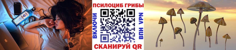 Галлюциногенные грибы мицелий Неман