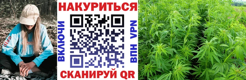 Шишки марихуана ГИДРОПОН  Неман 
